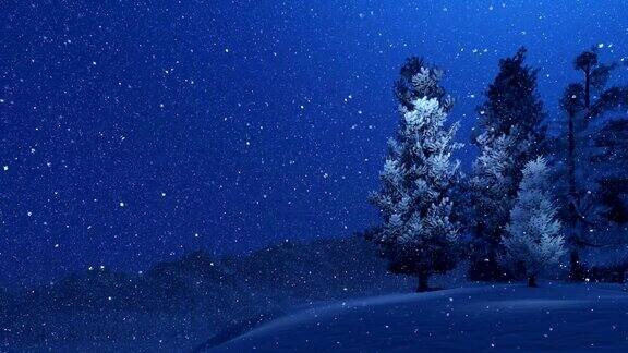 白雪皑皑的云杉和夜晚的降雪