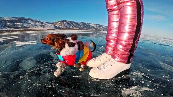 玩具小猎犬穿着滑稽的衣服和鞋子在裂缝里美丽的冰上玩球妈妈和女儿穿着运动服和花样滑冰鞋女孩们把玩具扔给狗狗玩游戏