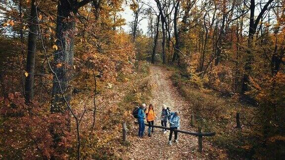 一群成熟的徒步穿越森林