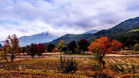 中国湖北大别山的秋景