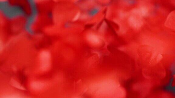 模糊的红色心形纸屑飘落情人节的节日背景