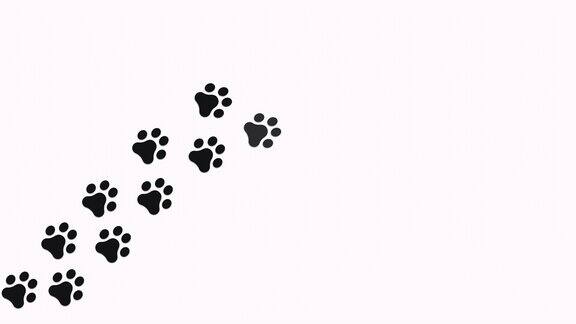 阿尔法通道背景上有爪印黑色犬科动物的脚印轮廓狗的足迹旅程的狗爪印
