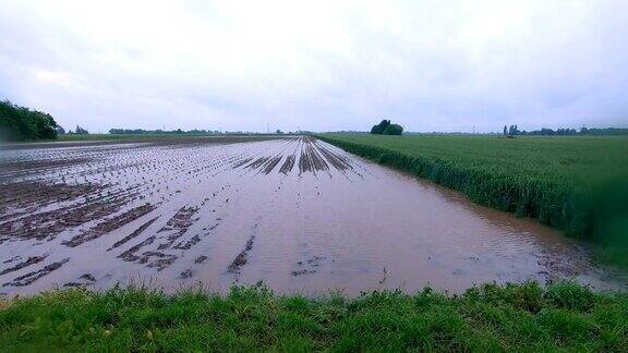 英国林肯郡斯伯丁附近被洪水淹没的田地