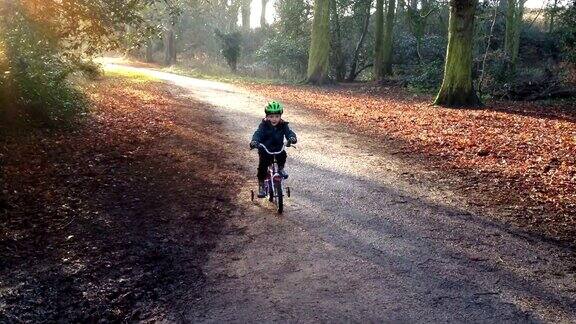 骑自行车穿过英国公园的小男孩