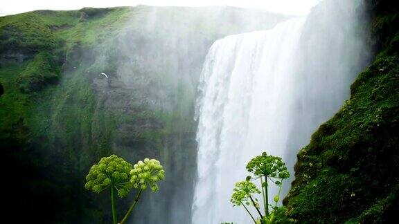 冰岛南部的斯科加福斯瀑布