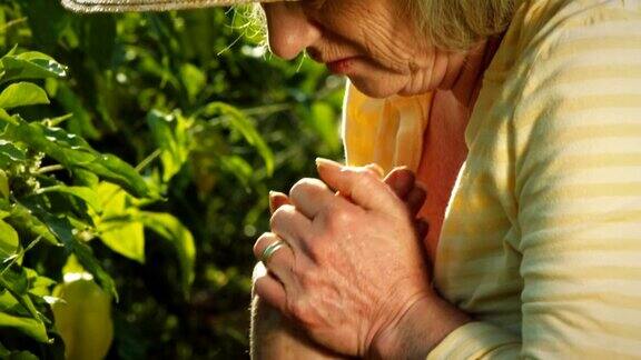 一位老妇人在花园里干活时痛苦地蜷缩着搓着双手