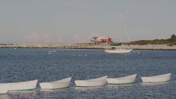 白色划艇停泊在海湾