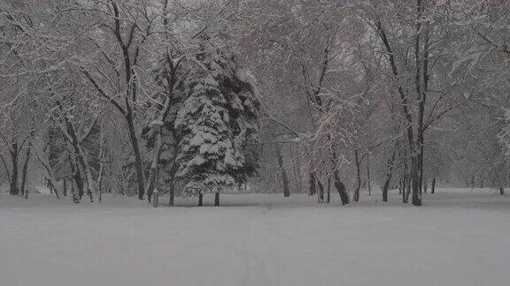 降雪