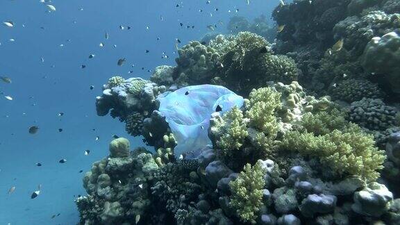 慢镜头海洋中的塑料污染:塑料袋漂浮在美丽的珊瑚礁旁边与一群热带鱼在蓝色的水中塑料垃圾环境污染问题