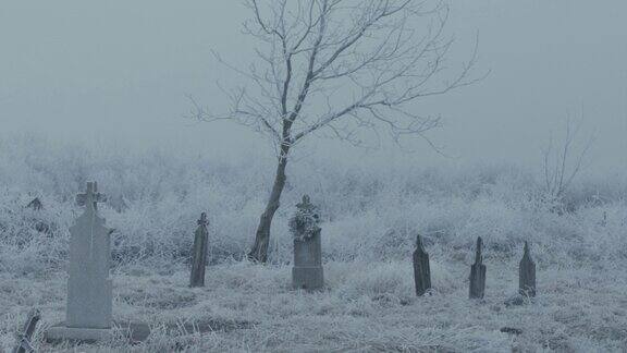 冬雪中的老墓地