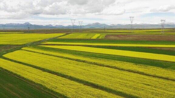 西藏高原农田的高角度视图