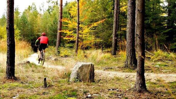 山地车骑在秋天的森林自行车道