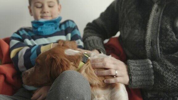 妈妈和儿子坐在客厅的沙发上和可爱的小狗玩耍