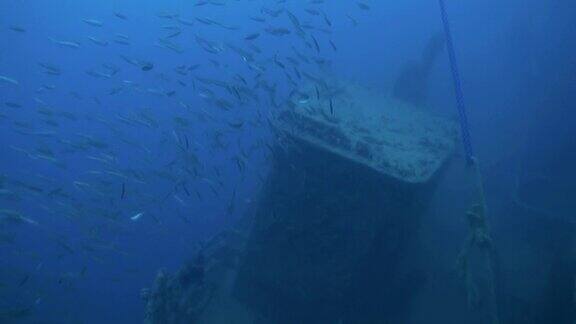 埃及红海水下沉船