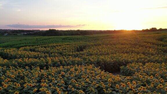 加拿大库克敦夕阳下27号公路上的农场