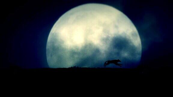 狼在月圆之夜奔跑