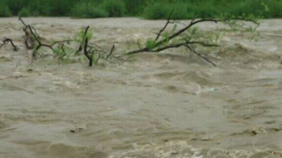 倒下的树都漂浮在山河上泉水泛滥