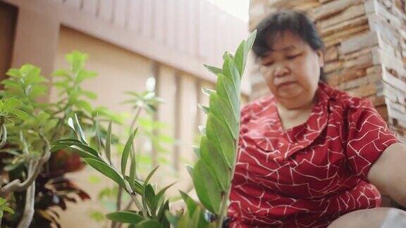 在家中从事园艺工作的亚洲老年女性