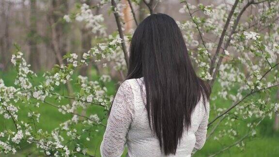 美丽的长头发印度新娘在樱花的肖像