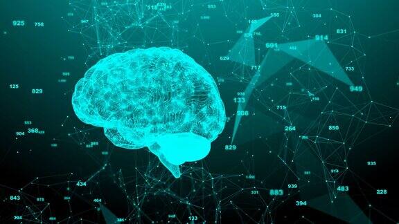人类大脑旋转神经丛结构不断进化无缝循环