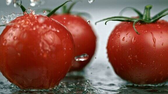 清洗新鲜的红番茄