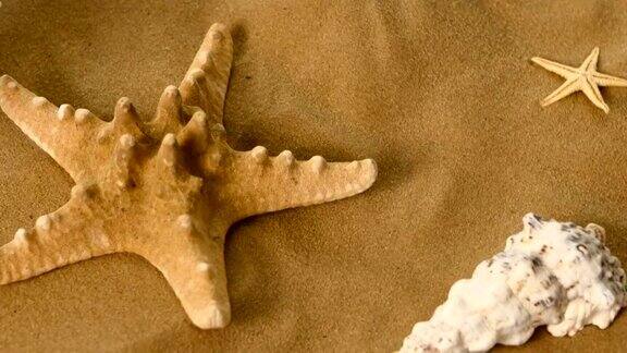 沙滩上的海星旋转特写