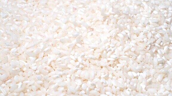 米粒:大量的白米粒燕麦素食