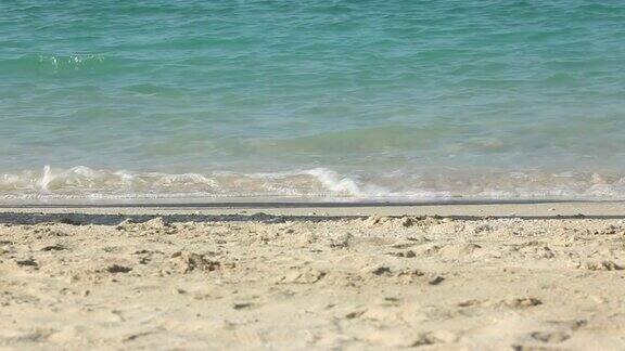 女人的脚在画面里在沙滩上走着阿拉伯联合酋长国迪拜