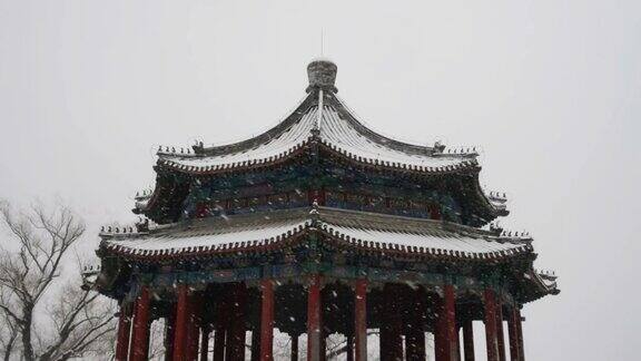 北京颐和园冬季下大雪的视频