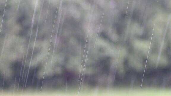 雨滴特写