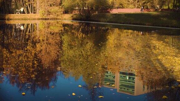 秋色旖旎湖在公园