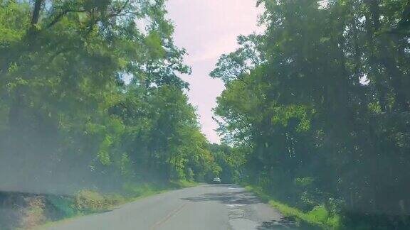 在一个阳光明媚的日子里在田纳西州布伦特伍德附近的一条林荫路上开车