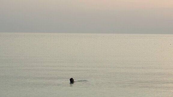 海中这个女人正在海里游泳埃及红海