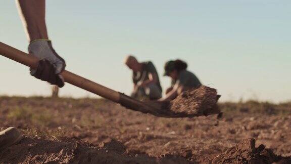 农夫在地里挖土豆