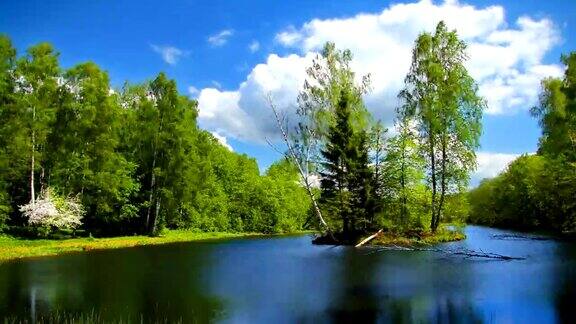 夏季景观与森林湖