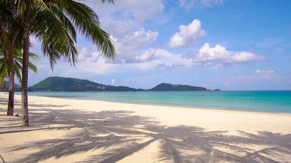 普吉岛泰国海滩的沙滩和棕榈