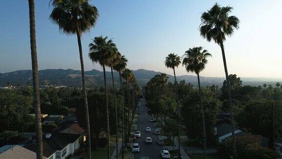 日落时分棕榈树林立的街道在洛杉矶格伦代尔CA-4k无人机