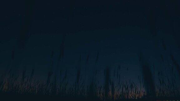 小麦芽的剪影在星空星空星系的自然背景晚上的时间视频晚上夜间夏日背景夏日背景发光的星星星空辉光全高清自然背景夜晚场景视图