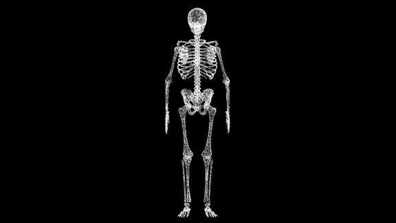 人体解剖的三维医学动画物体溶解白色闪烁粒子60FPS商业广告背景科学医学理念用于标题文本演示三维动画