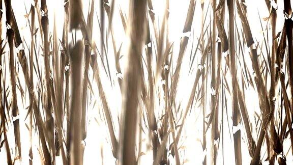 动画竹林在一个水彩风格