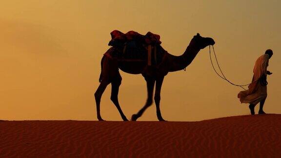 骆驼牧人日落时分赶骆驼的人印度拉贾斯坦邦斋萨尔梅尔日落时分的塔尔沙漠
