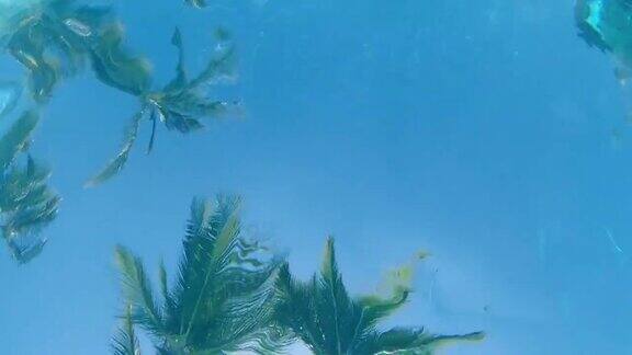 在加勒比海旅游胜地的游泳池