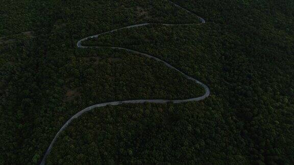 鸟瞰图在森林中的道路在黑暗中