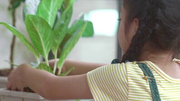 小女孩在盆栽花