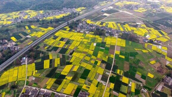 鸟瞰图的中国乡村景观在春天油菜种子盛开和村庄在高速公路