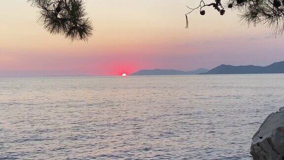 日落在地中海地平线上的岩石松树