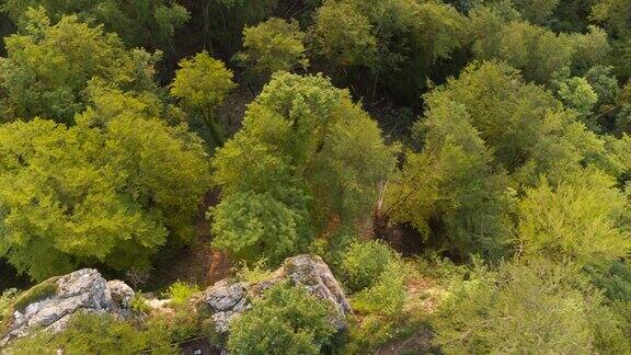 无人机拍摄的悬崖和森林