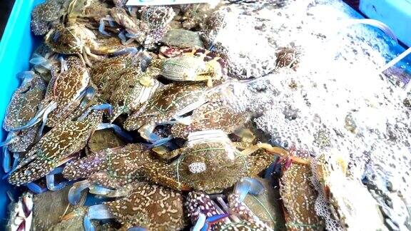 海鲜市场里的新鲜蓝蟹