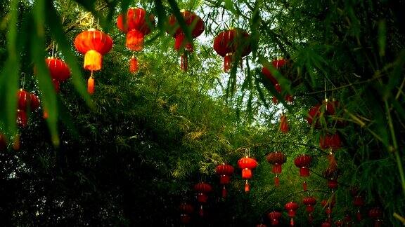 一排排传统中国风格的红灯笼挂在竹树隧道拱门上
