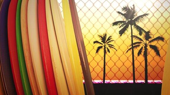 冲浪板和阳光下的热带棕榈树